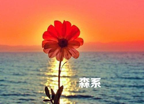 顾盼兮萧燕寒全文免费阅读_(顾盼兮萧燕寒)全文阅读