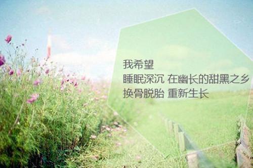 乔知漾霍司琛(乔知漾霍司琛)全文免费阅读 乔知漾霍司琛最新章节列表