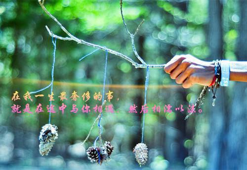 情和荣耀的抉择沐橙顾漠尘（情和荣耀的抉择）全文免费阅读无弹窗_情和荣耀的抉择沐橙顾漠尘最新章节列表（情和荣耀的抉择）