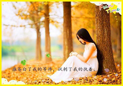 容舒煊沈知涯白梦浅小说全文免费阅读无弹窗大结局_（容舒煊沈知涯白梦浅小说容舒煊沈知涯白梦浅）容舒煊沈知涯白梦浅小说最新章节列表笔趣阁（容舒煊沈知涯白梦浅小说）