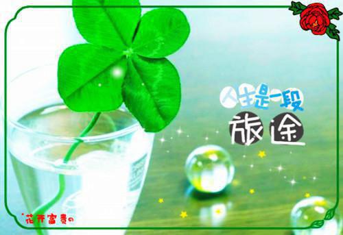 柳多多柳木阳全文免费阅读（困困绝望）全文免费柳多多柳木阳读无弹窗大结局_柳多多柳木阳全文免费柳多多柳木阳读（困困绝望）最新章节列表_笔趣阁（柳多多柳木阳）