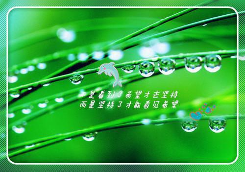 文艺正能量鼓励句子