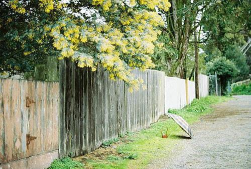 心向桃源小说阅读（方宴良苏枝小说全文免费阅读）全文免费阅读无弹窗大结局_ （心向桃源小说阅读）方宴良苏枝小说全文免费阅读最新章节列表_笔趣阁（方宴良苏枝小说全文免费阅读）