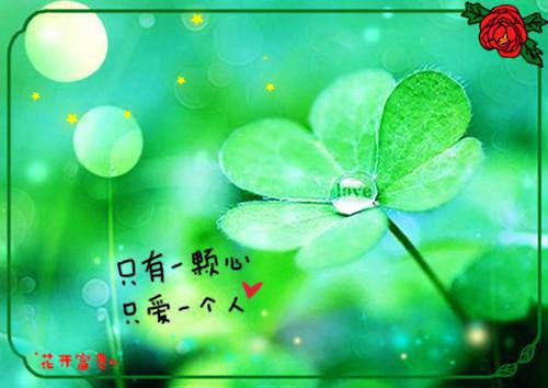 钟念儿梁亦封全文免费阅读（钟念儿梁亦封小说）全文免费阅读无弹窗大结局_钟念儿梁亦封全文免费阅读（钟念儿梁亦封小说）最新章节列表_笔趣阁（钟念儿梁亦封）