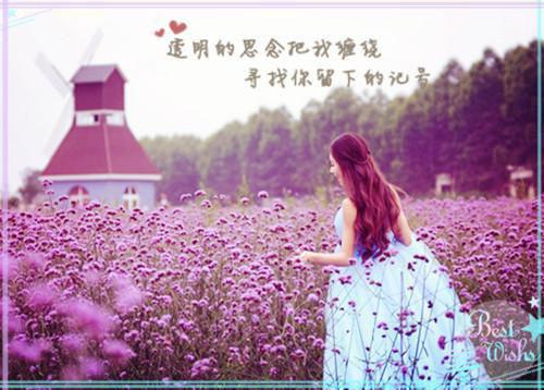 情终全文免费阅读（白敬李书意）全文免费阅读无弹窗大结局_情终全文免费阅读（白敬李书意）最新章节列表_笔趣阁（情终全文免费阅读）
