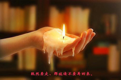 【新书】《青耳垂根小说》李敬柔李温慈程远烨全文全章节免费李敬柔李温慈程远烨读