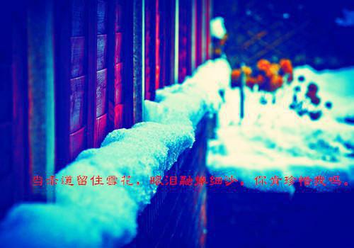 赵意晚贺清风(赵意晚贺清风)全文免费阅读无弹窗大结局_赵意晚贺清风免费阅读最新章节列表_笔趣阁（赵意晚贺清风）