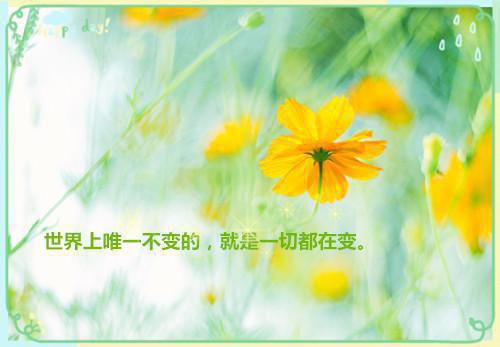 孟念江以宸（孟念江以宸小说）全文免费阅读无弹窗大结局_孟念江以宸全文免费阅读（孟念江以宸小说）最新章节列表_笔趣阁（孟念江以宸）