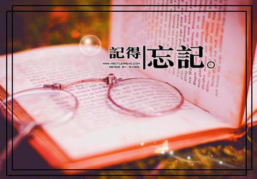 感动的爱情表白句子