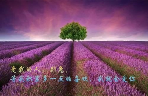 云漫辞盛南烨结局（盛南烨云漫辞）全文免费阅读无弹窗大结局_（云漫辞盛南烨结局）云漫辞盛南烨结局最新章节列表_笔趣阁（云漫辞盛南烨结局）