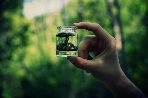 许繁星薄明深（许繁星薄明深）全文免费阅读无弹窗大结局_许繁星薄明深免费最新章节列表_笔趣阁（许繁星薄明深）